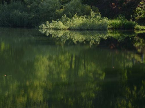 Foto Lacul Bodi, Ferneziu - impresii (c) Lucian Petru Goja